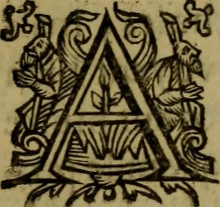 An illustration from La curiosité naturelle, redigee en questions selon l'ordre alphabetique : a roven, 1631, leaf 22