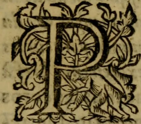 An illustration from La curiosité naturelle, redigee en questions selon l'ordre alphabetique : a roven, 1631, leaf 30