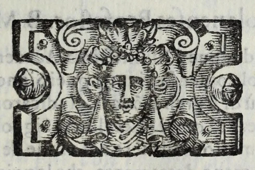 An illustration from La cvriosa et diletteuole aggionta del sig. Ant. Maria Spelta, cittadino pavese, all' Historia sua : nella qvale oltra la vaghezza di molte cose, che dall'anno 1596 fino al 1603 s'intendono, sono anco componimenti arguti, da quali non poco gusto gli eleuati spiriti potranno prendere, 1602, leaf 181