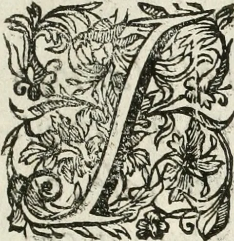 An illustration from La cvstodia d'oro : godvta nel vigilantissimo confalonierato dell'illvstrissimo signor senatore Francesco Ratta, e simboleggiata nel dilvisontvos.mo convito fatto all' ill.mo publico & ecc.si sig.ri anziani il primo bimestre dell'anno 1693, 1693, leaf 4