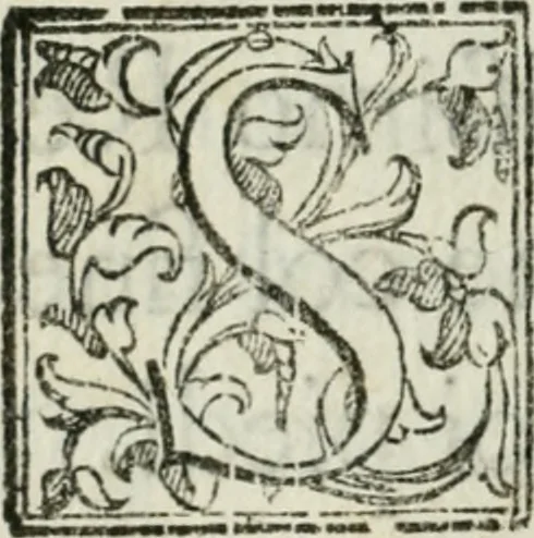 An illustration from L'Adamo : sacra rapresentatione, 1617, leaf 9