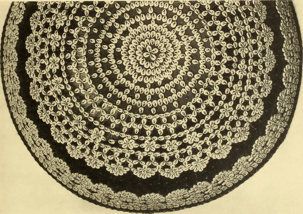 An illustration from La décoration primitive : Océanie, 1922, leaf 66