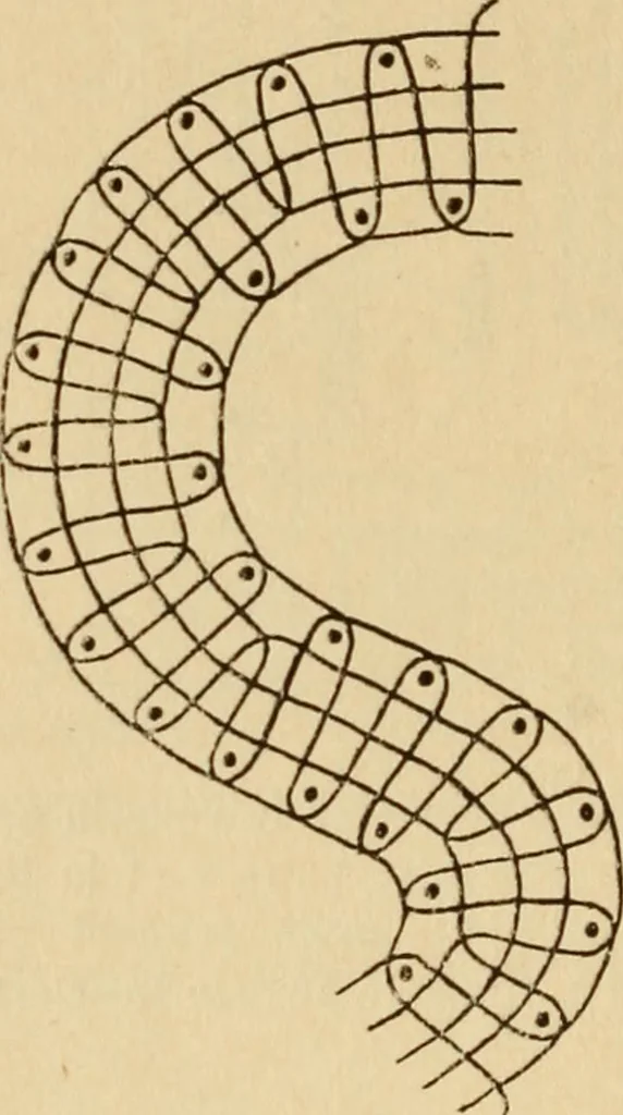 An illustration from La dentelle aux fuseaux, 1921, leaf 101