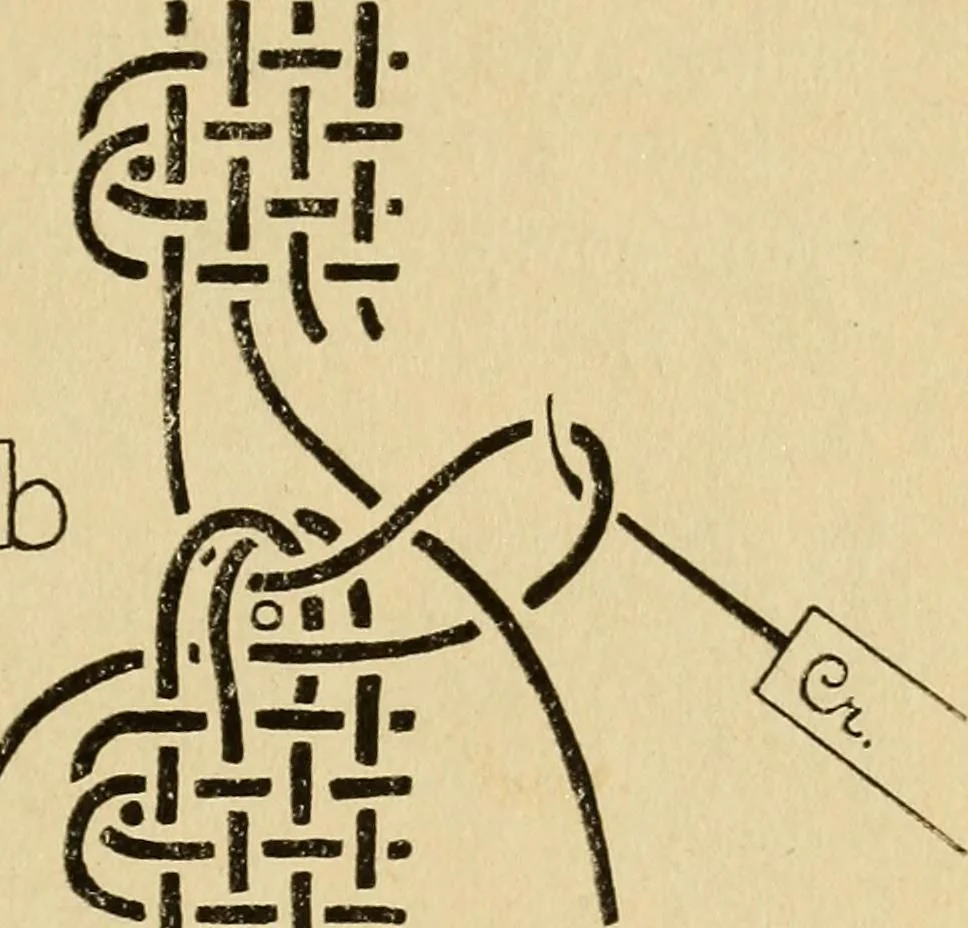 An illustration from La dentelle aux fuseaux, 1921, leaf 102