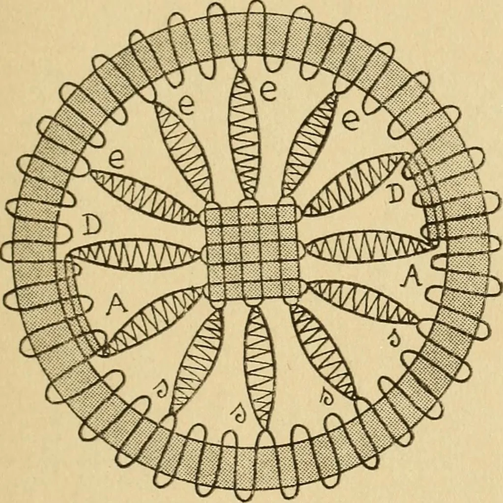 An illustration from La dentelle aux fuseaux, 1921, leaf 106