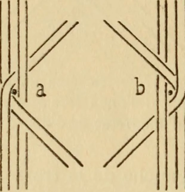 An illustration from La dentelle aux fuseaux, 1921, leaf 31