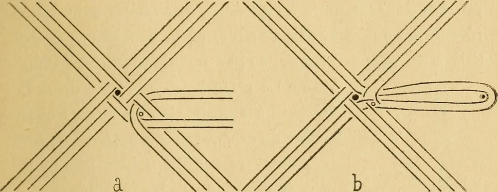 An illustration from La dentelle aux fuseaux, 1921, leaf 38