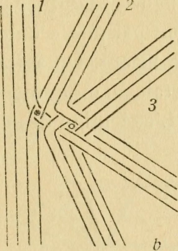 An illustration from La dentelle aux fuseaux, 1921, leaf 40