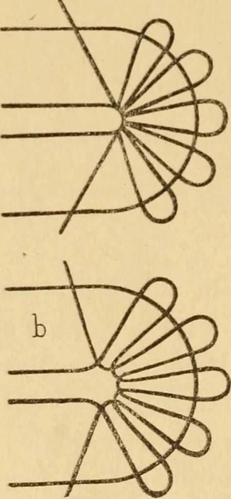 An illustration from La dentelle aux fuseaux, 1921, leaf 41