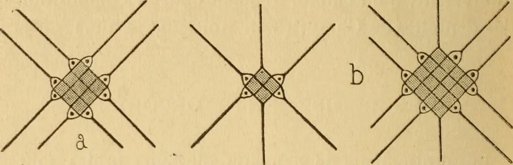 An illustration from La dentelle aux fuseaux, 1921, leaf 71