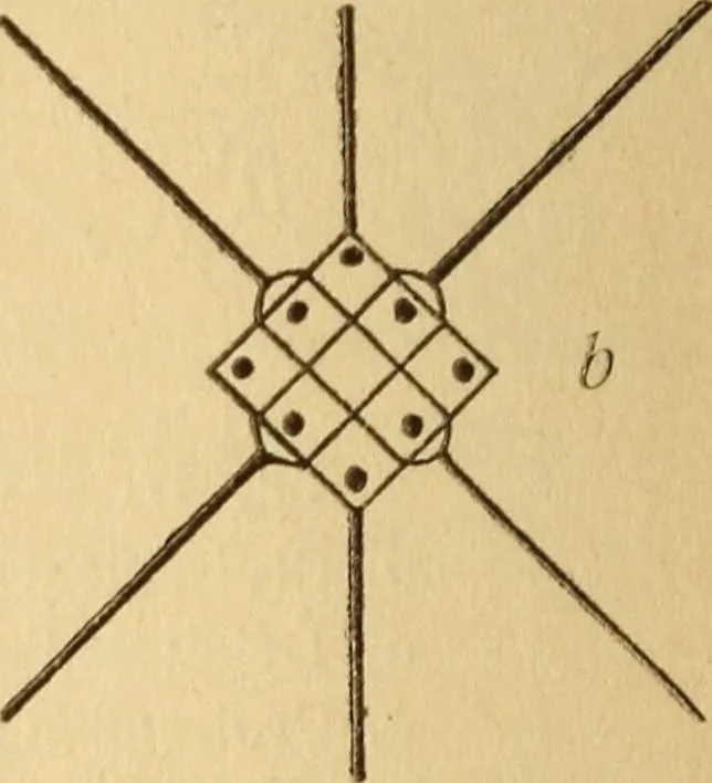 An illustration from La dentelle aux fuseaux, 1921, leaf 71