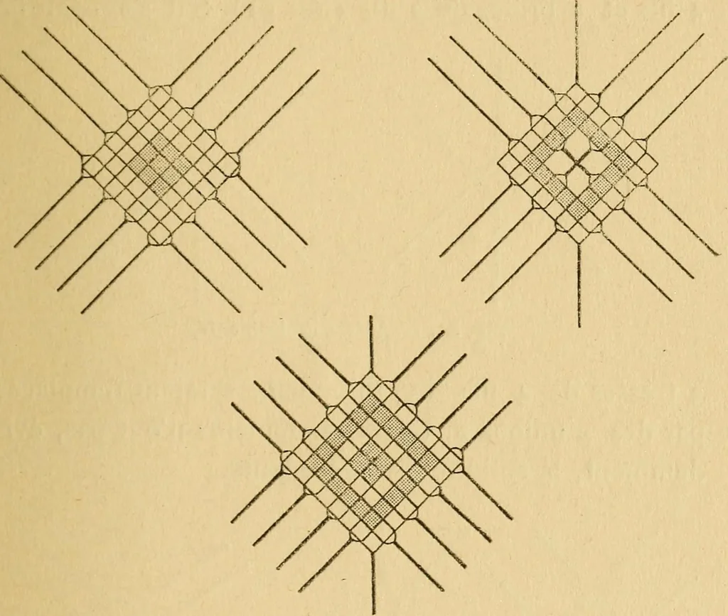 An illustration from La dentelle aux fuseaux, 1921, leaf 72