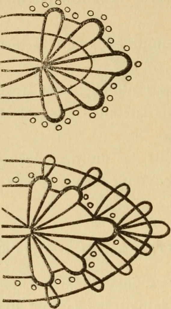 An illustration from La dentelle aux fuseaux, 1921, leaf 79