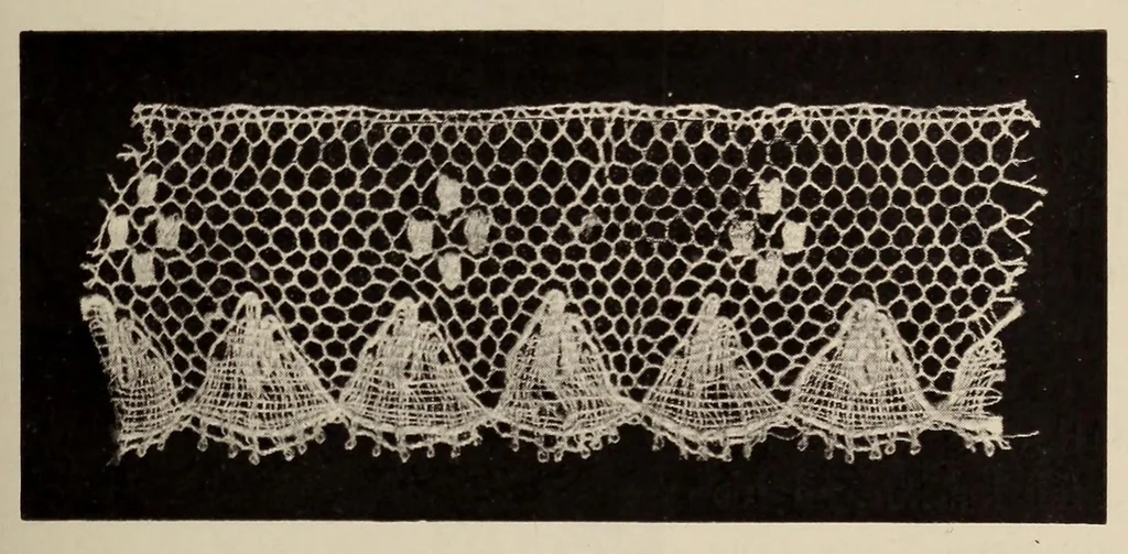 An illustration from La dentelle et la broderie sur tulle, 1902, leaf 187