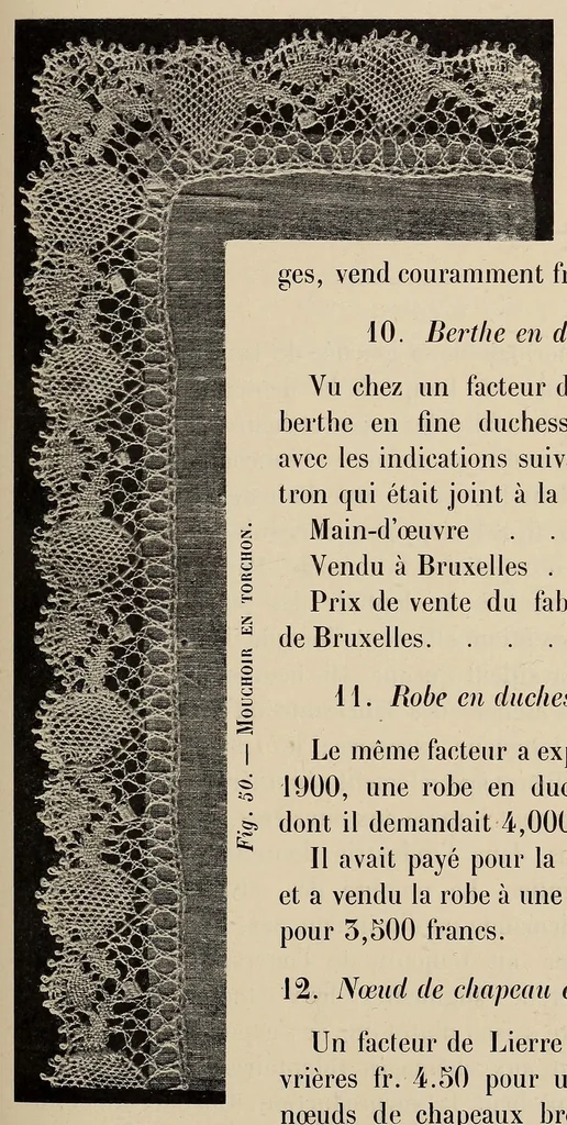 An illustration from La dentelle et la broderie sur tulle, 1902, leaf 177