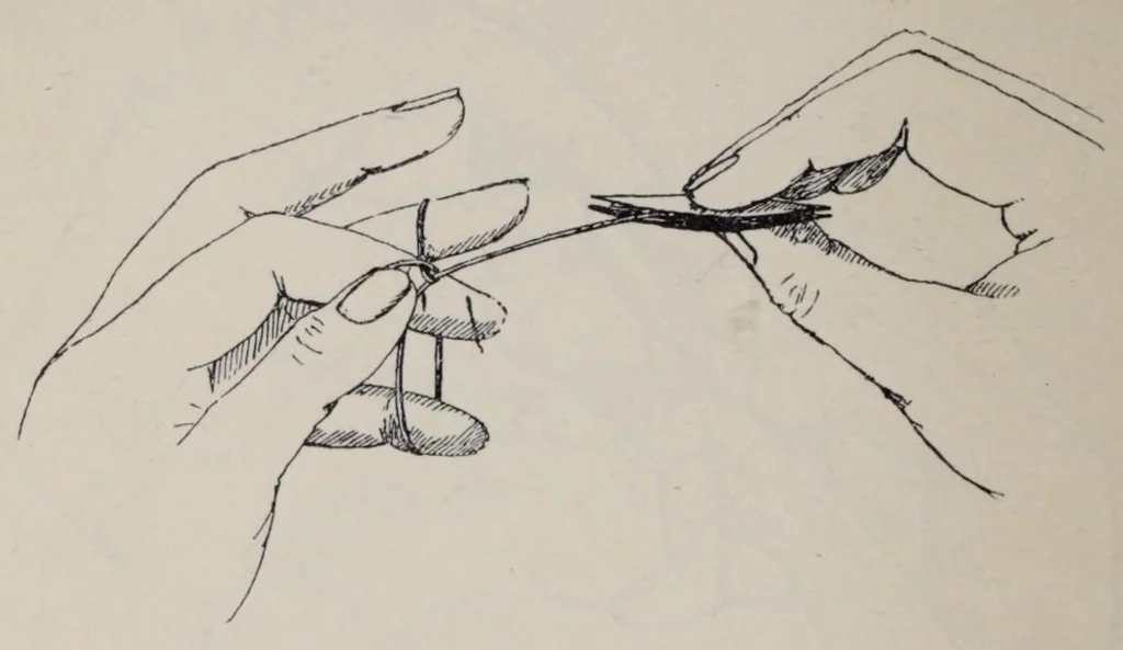 An illustration from La dentelle : historique de la dentelle à travers les âges et las pays, 1906, leaf 128