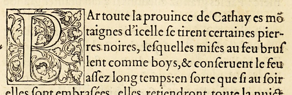 An illustration from La description geographique des provinces & villes plus fameuses de l'Indie Orientale, ..., 1556, leaf 148