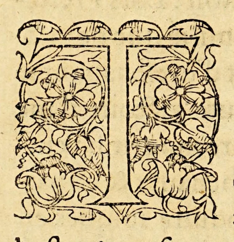 An illustration from La description geographique des provinces & villes plus fameuses de l'Indie Orientale, ..., 1556, leaf 154
