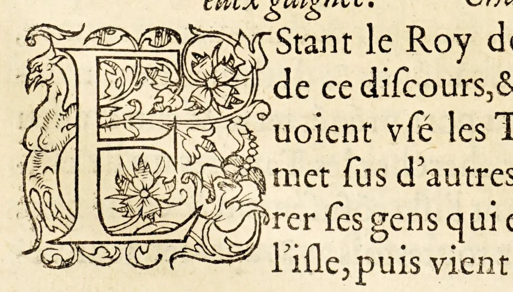 An illustration from La description geographique des provinces & villes plus fameuses de l'Indie Orientale, ..., 1556, leaf 216