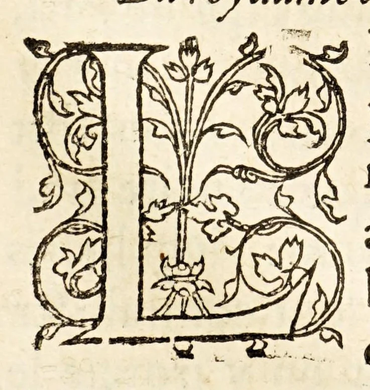 An illustration from La description geographique des provinces & villes plus fameuses de l'Indie Orientale, ..., 1556, leaf 222