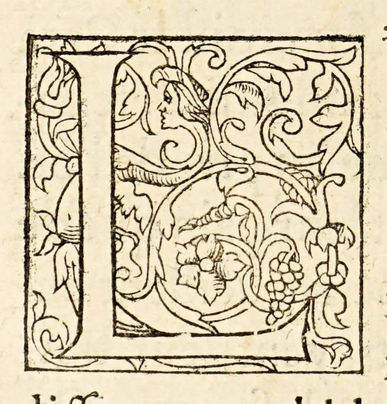 An illustration from La description geographique des provinces & villes plus fameuses de l'Indie Orientale, ..., 1556, leaf 228