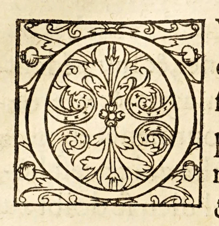 An illustration from La description geographique des provinces & villes plus fameuses de l'Indie Orientale, ..., 1556, leaf 236