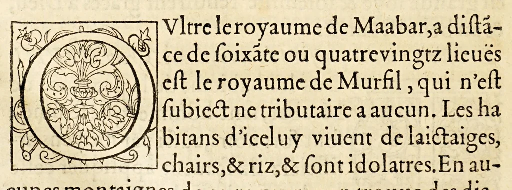 An illustration from La description geographique des provinces & villes plus fameuses de l'Indie Orientale, ..., 1556, leaf 240