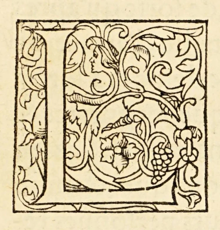 An illustration from La description geographique des provinces & villes plus fameuses de l'Indie Orientale, ..., 1556, leaf 25