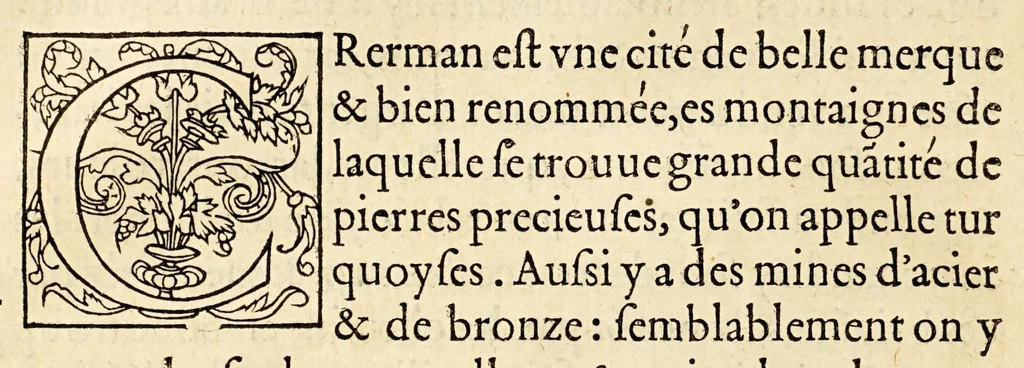 An illustration from La description geographique des provinces & villes plus fameuses de l'Indie Orientale, ..., 1556, leaf 48