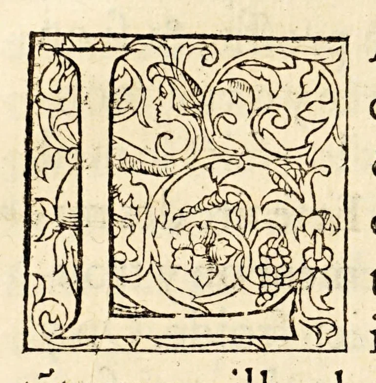 An illustration from La description geographique des provinces & villes plus fameuses de l'Indie Orientale, ..., 1556, leaf 66