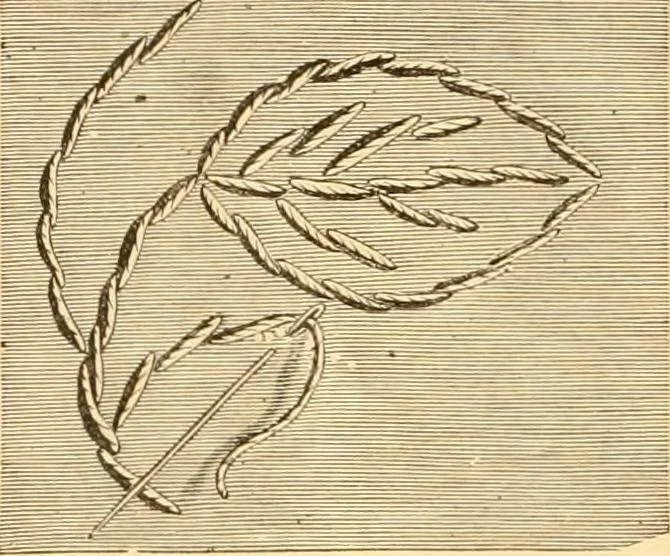 An illustration from Ladies' book of fancy work and instructions for stamping, 1884, leaf 11