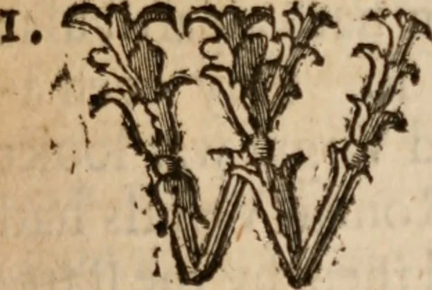 An illustration from The ladies' calling, 1673, leaf 172