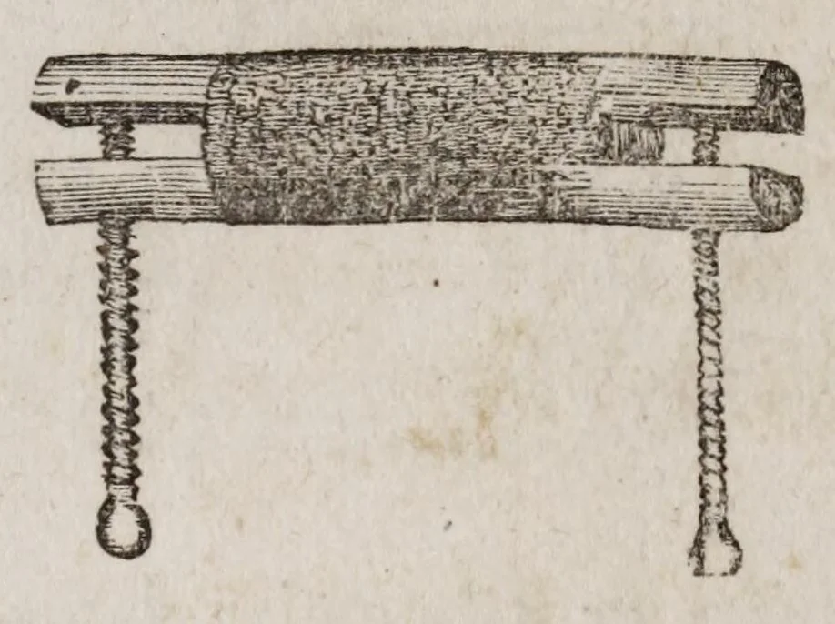 An illustration from The ladies complete guide to needle-work and embroidery : containing clear and practical instructions whereby any one can learn easily.../, 1859, leaf 120