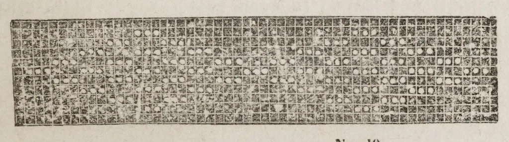 An illustration from The ladies complete guide to needle-work and embroidery : containing clear and practical instructions whereby any one can learn easily.../, 1859, leaf 195