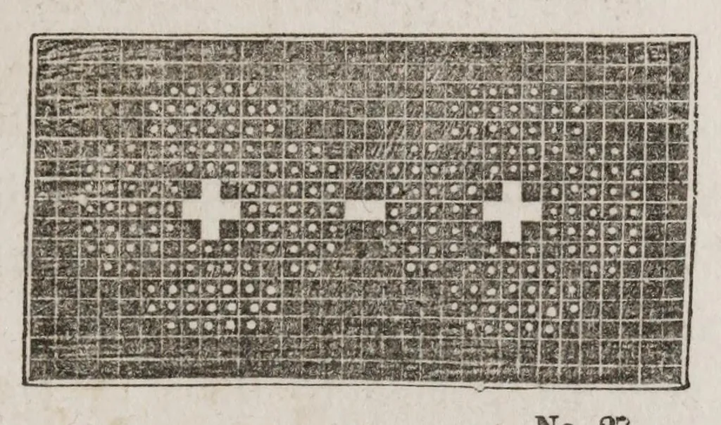 An illustration from The ladies complete guide to needle-work and embroidery : containing clear and practical instructions whereby any one can learn easily.../, 1859, leaf 201
