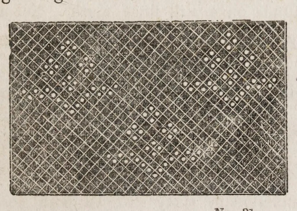 An illustration from The ladies complete guide to needle-work and embroidery : containing clear and practical instructions whereby any one can learn easily.../, 1859, leaf 253