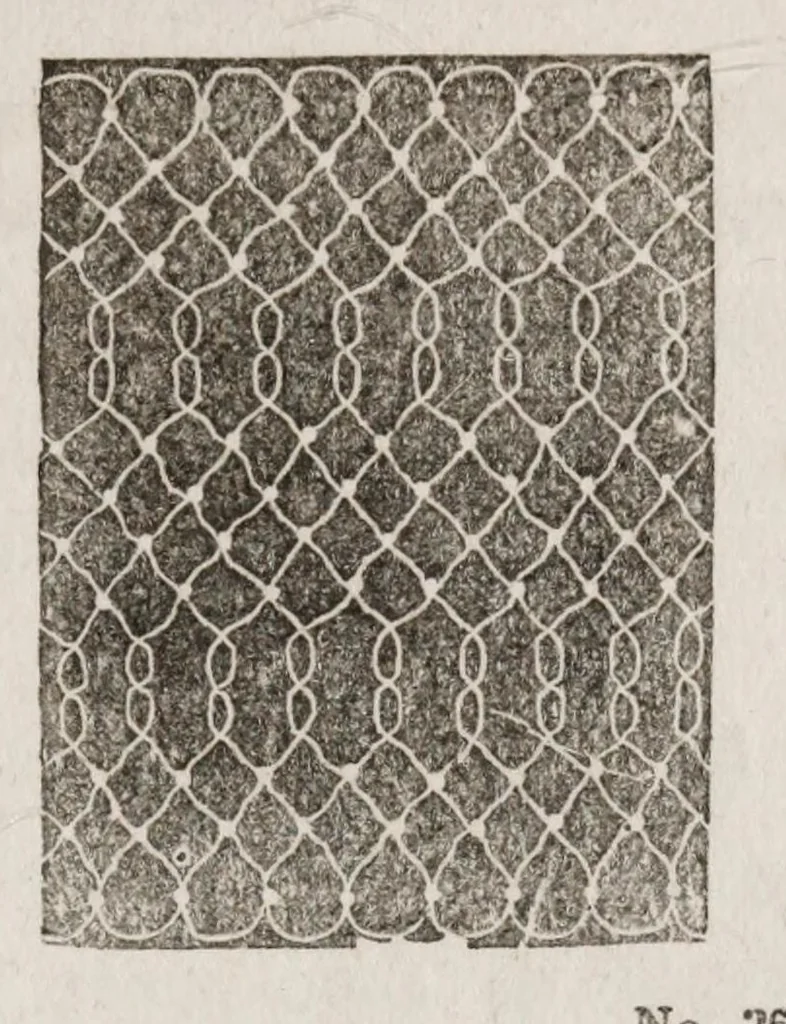 An illustration from The ladies complete guide to needle-work and embroidery : containing clear and practical instructions whereby any one can learn easily.../, 1859, leaf 261