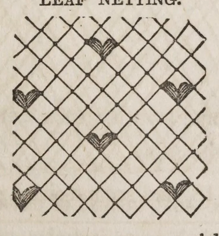 An illustration from The ladies complete guide to needle-work and embroidery : containing clear and practical instructions whereby any one can learn easily.../, 1859, leaf 329