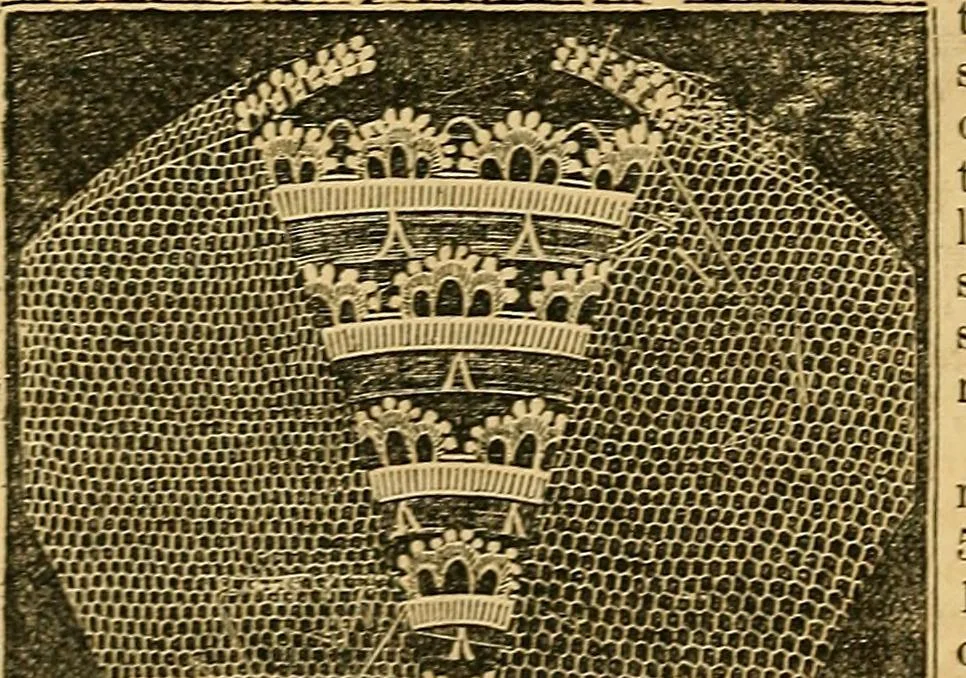An illustration from The ladies' complete guide to crochet, fancy knitting, and needlework., 1854, leaf 107