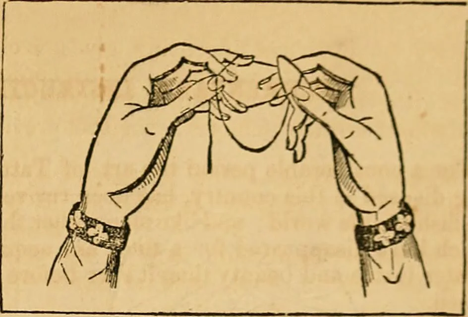 An illustration from The ladies' complete guide to crochet, fancy knitting, and needlework., 1854, leaf 114