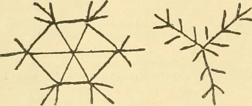 An illustration from Ladies' fancy work .., 1885, leaf 14