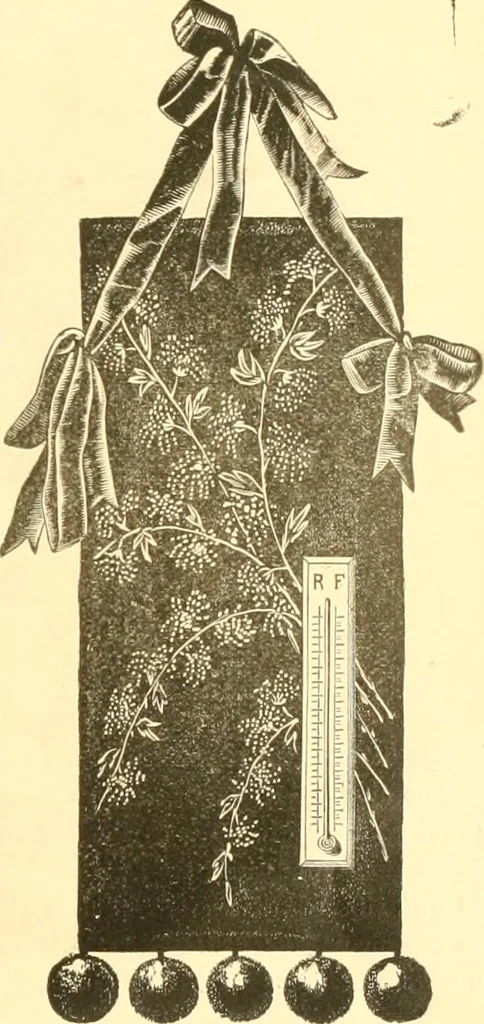 An illustration from Ladies' fancy work .., 1885, leaf 29
