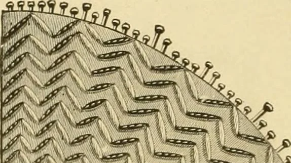 An illustration from Ladies' fancy work .., 1885, leaf 30