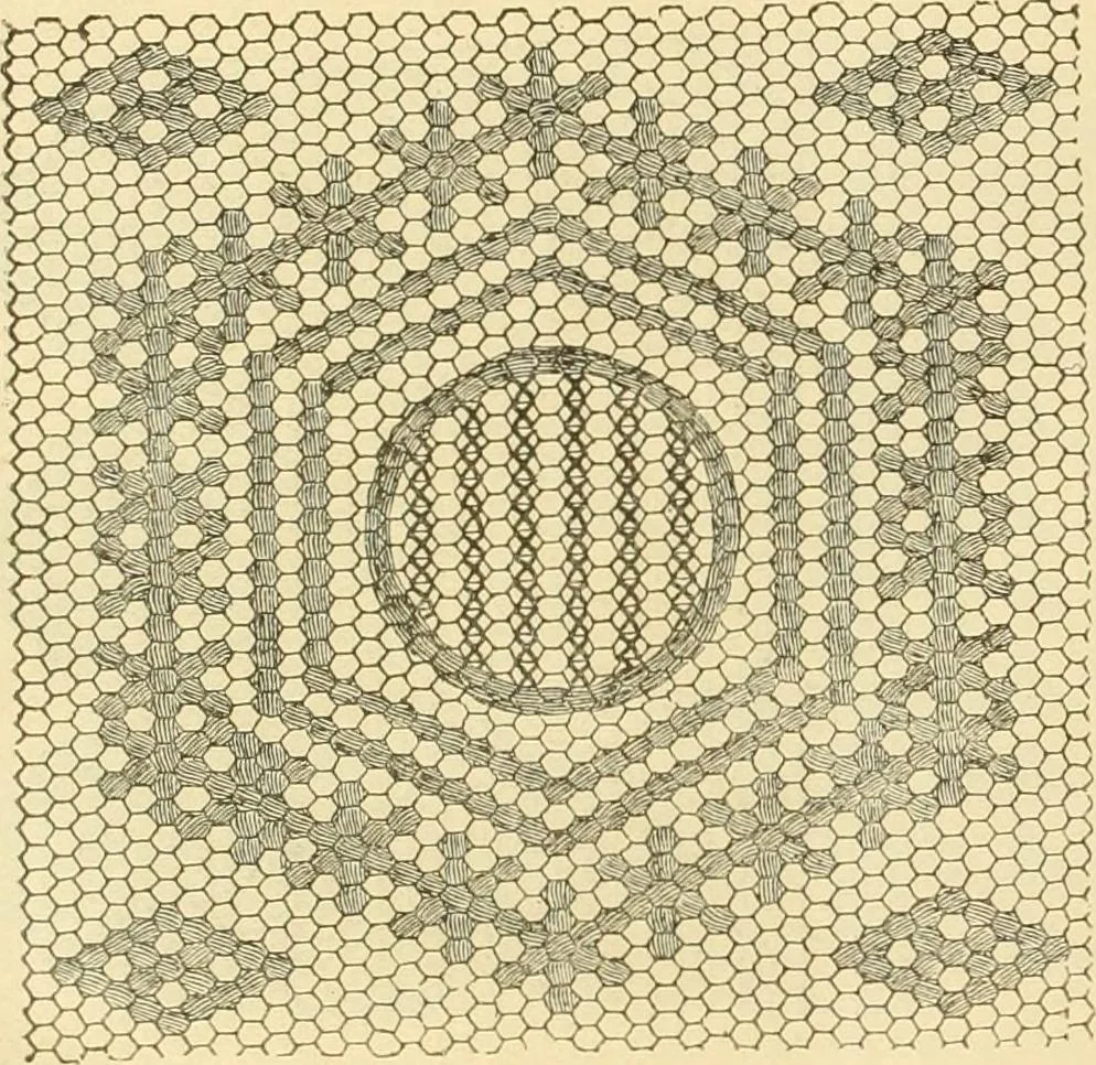 An illustration from Ladies' fancy work .., 1885, leaf 40
