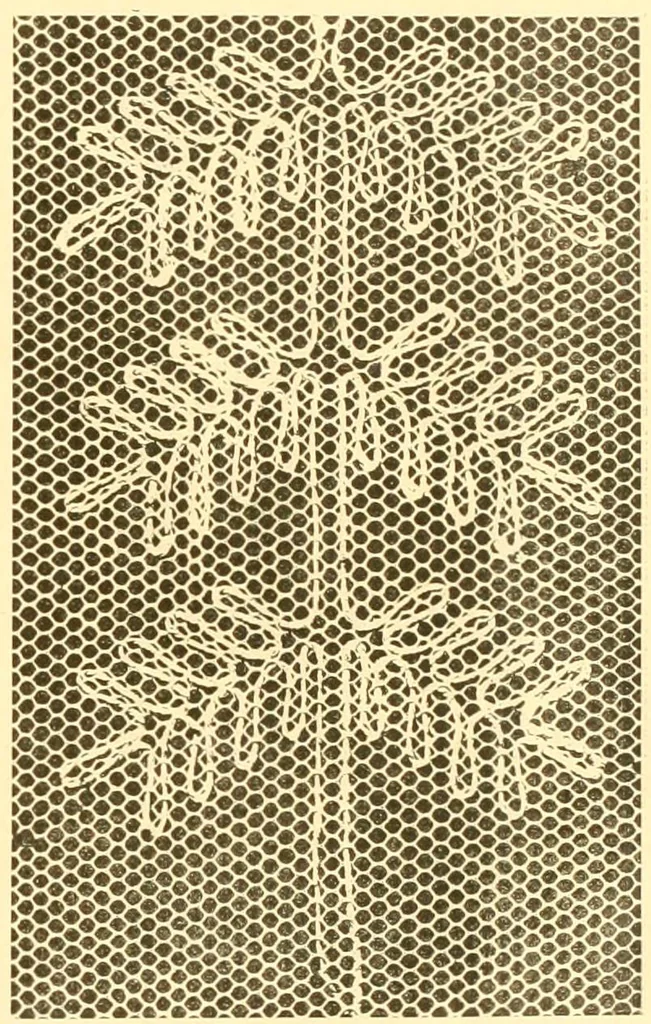 An illustration from Ladies' fancy work .., 1885, leaf 41