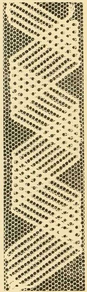 An illustration from Ladies' fancy work .., 1885, leaf 42