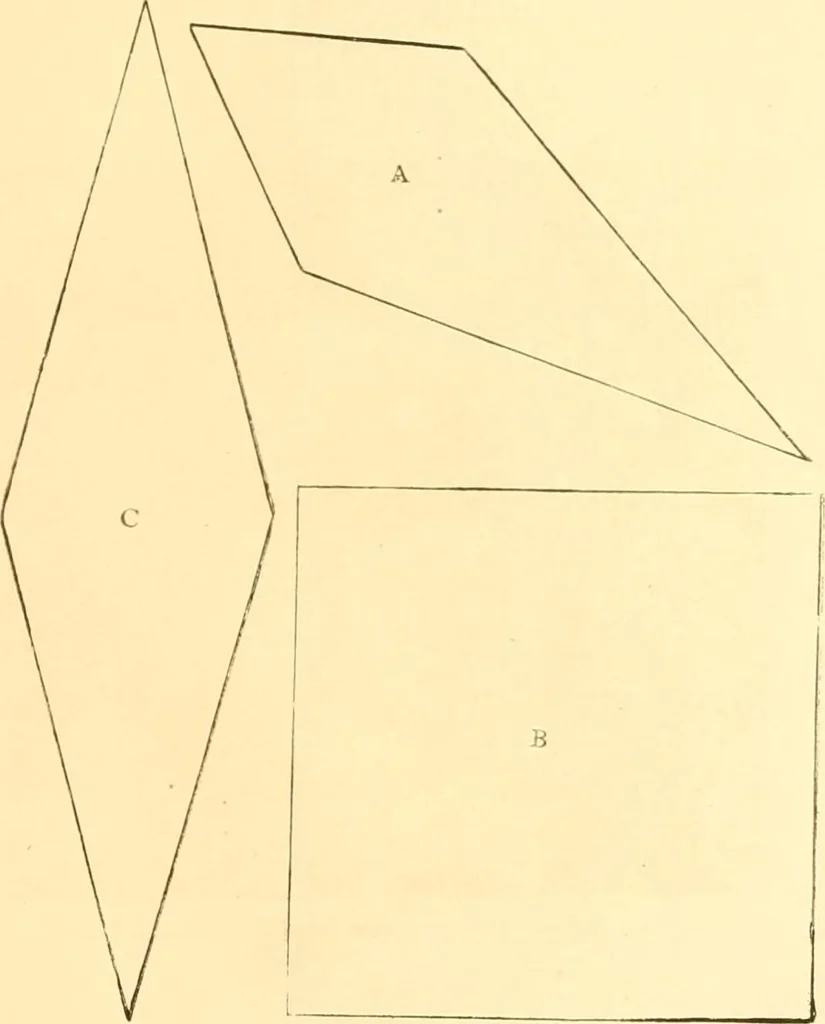 An illustration from Ladies' fancy work .., 1885, leaf 75