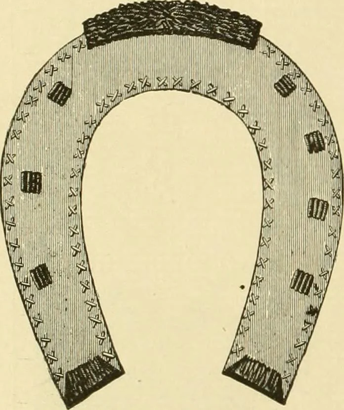 An illustration from Ladies' fancy work .., 1885, leaf 80