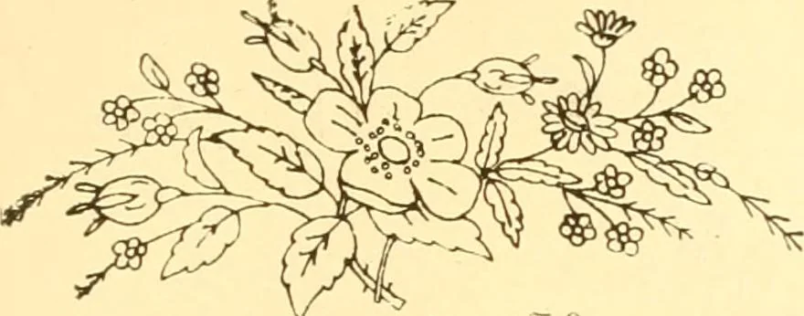 An illustration from Ladies' fancy work .., 1885, leaf 81