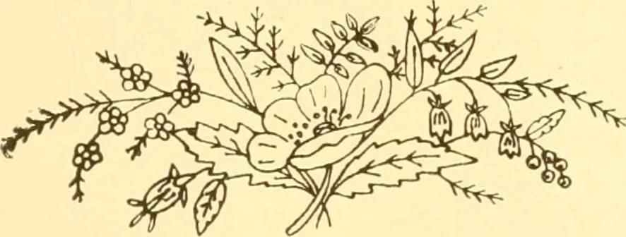 An illustration from Ladies' fancy work .., 1885, leaf 81